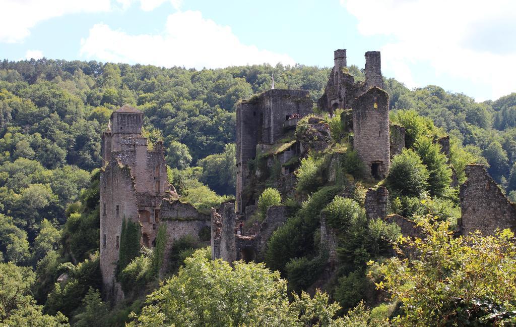 Gite De La Genevriere Saint-Chamant ภายนอก รูปภาพ